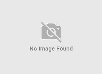 Website Name